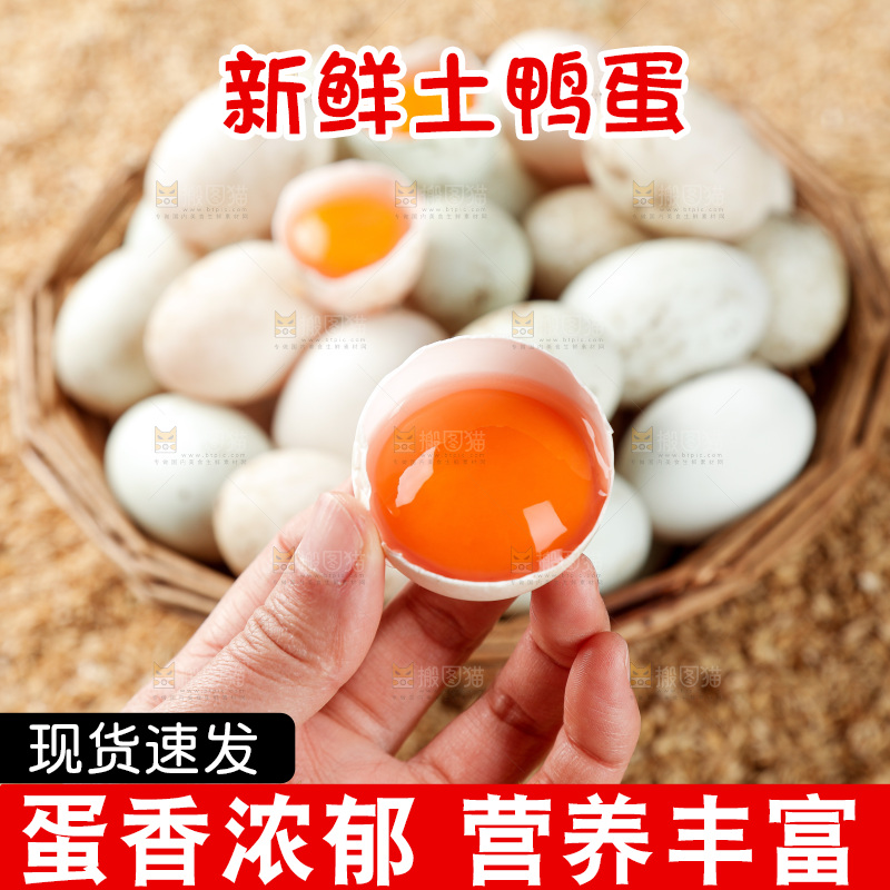 浅底上的鸭蛋