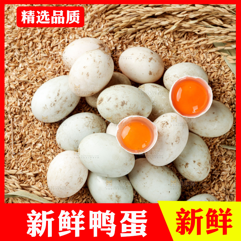 浅底上的鸭蛋