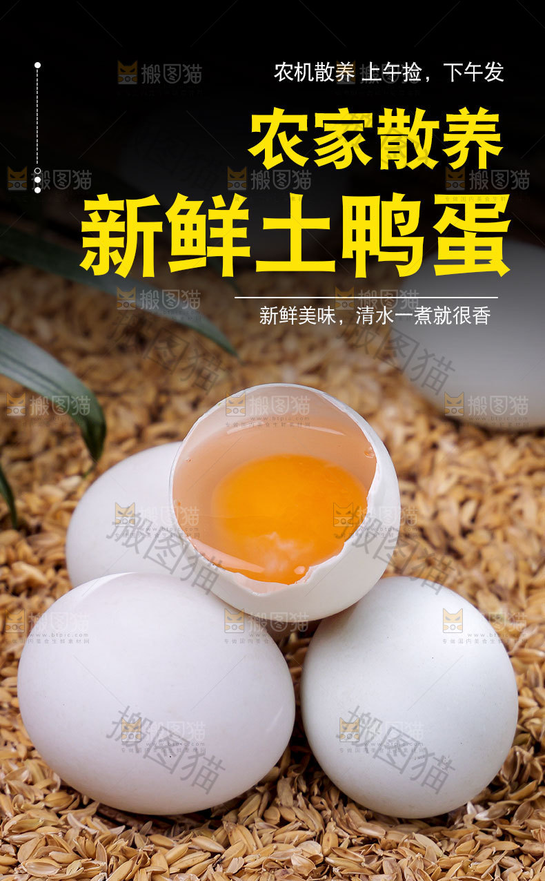 新鲜鸭蛋详情页