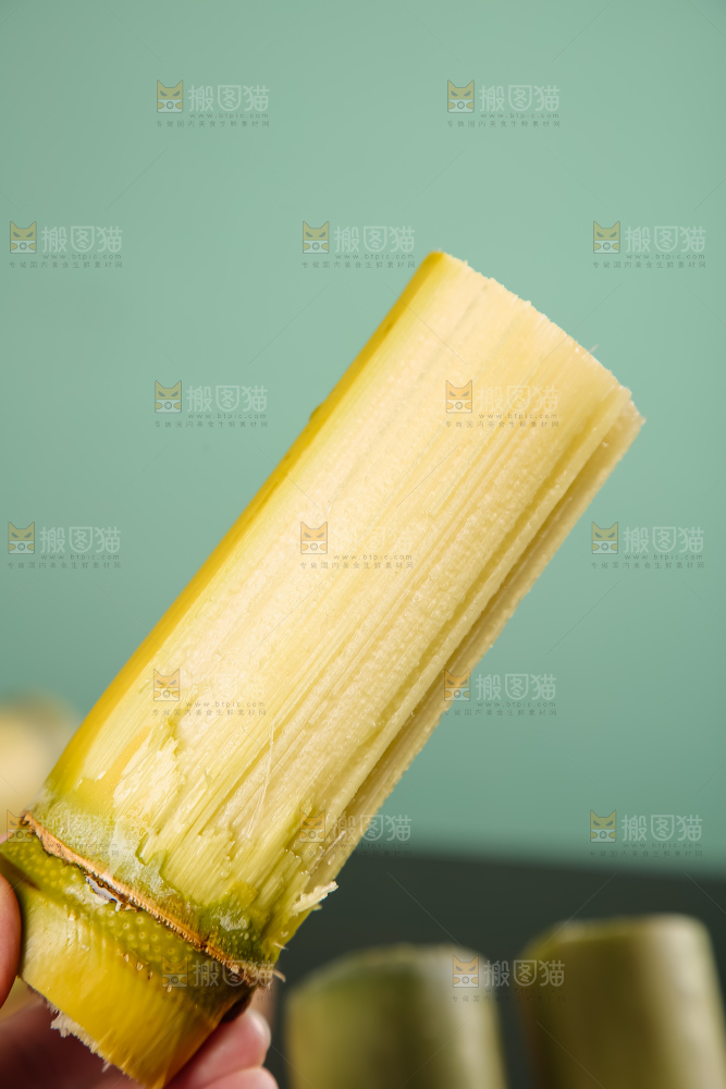 黄金甘蔗