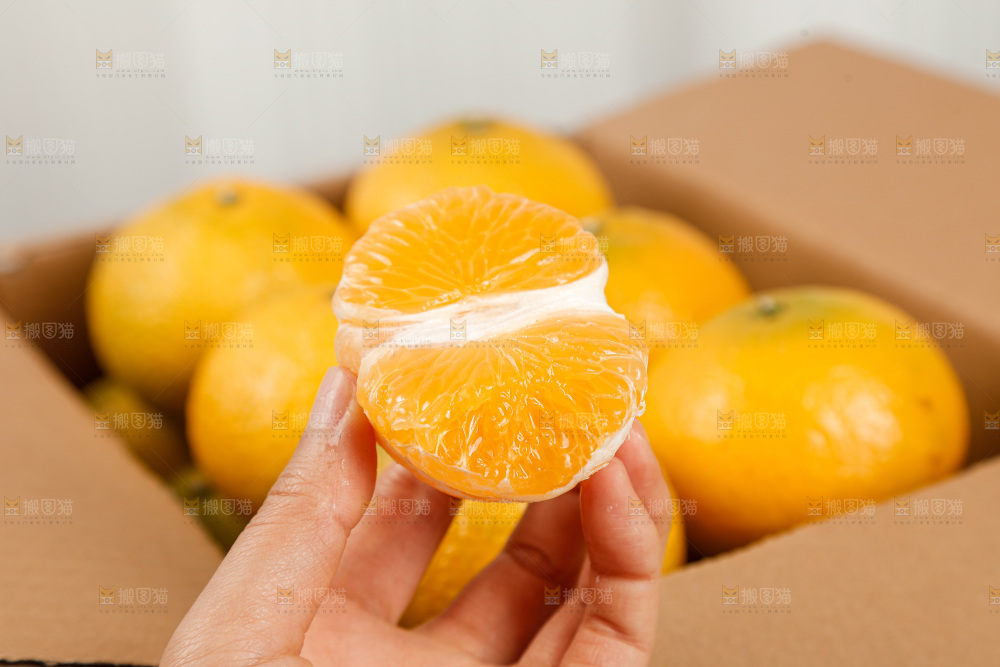 浅底上的桔柚