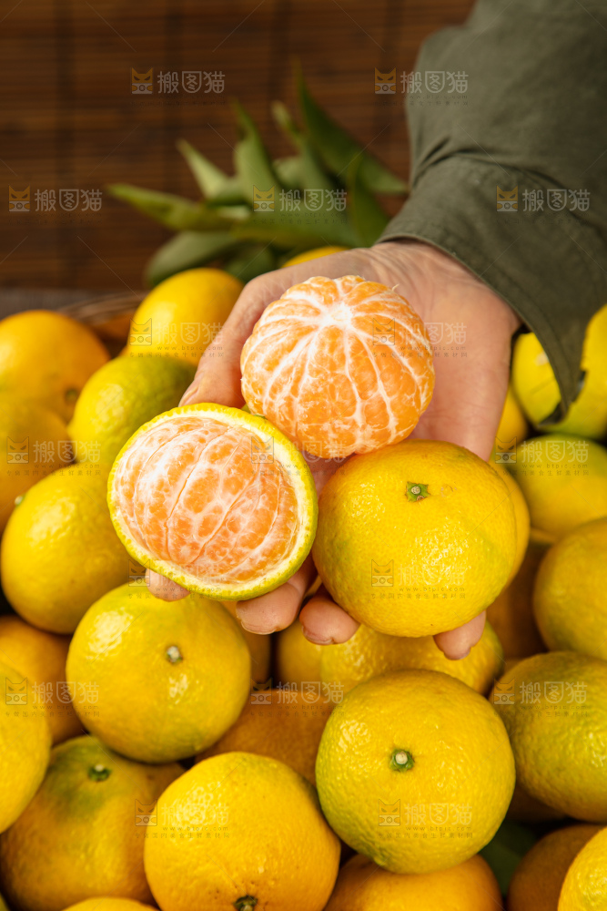 深底上的桔柚
