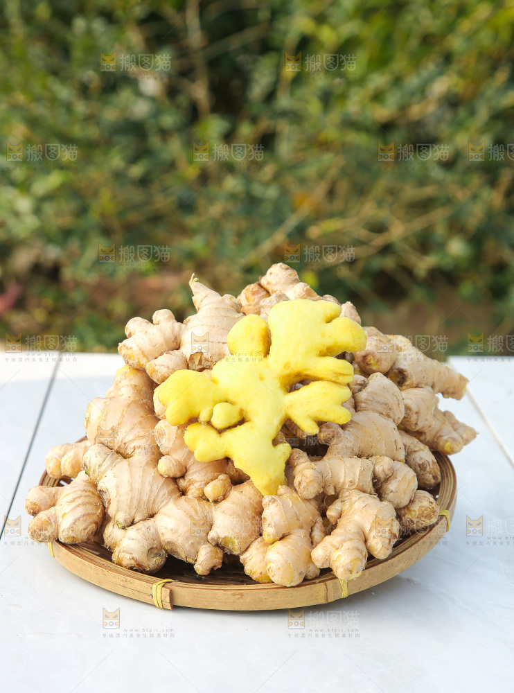 浅底上的小黄姜