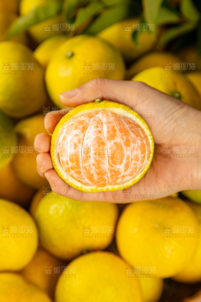 深底上的桔柚