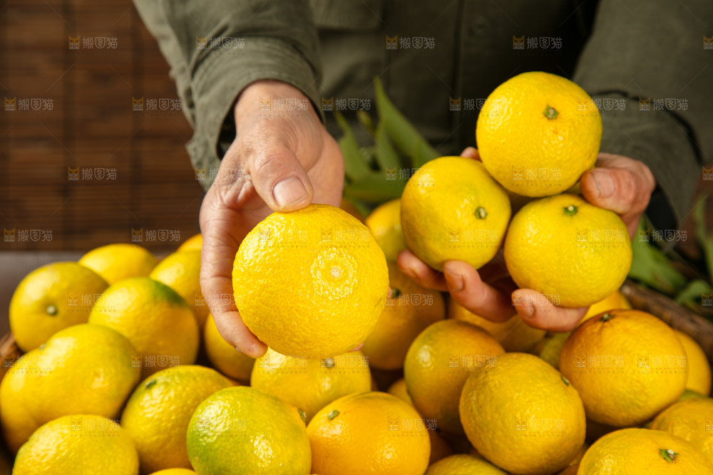 深底上的桔柚