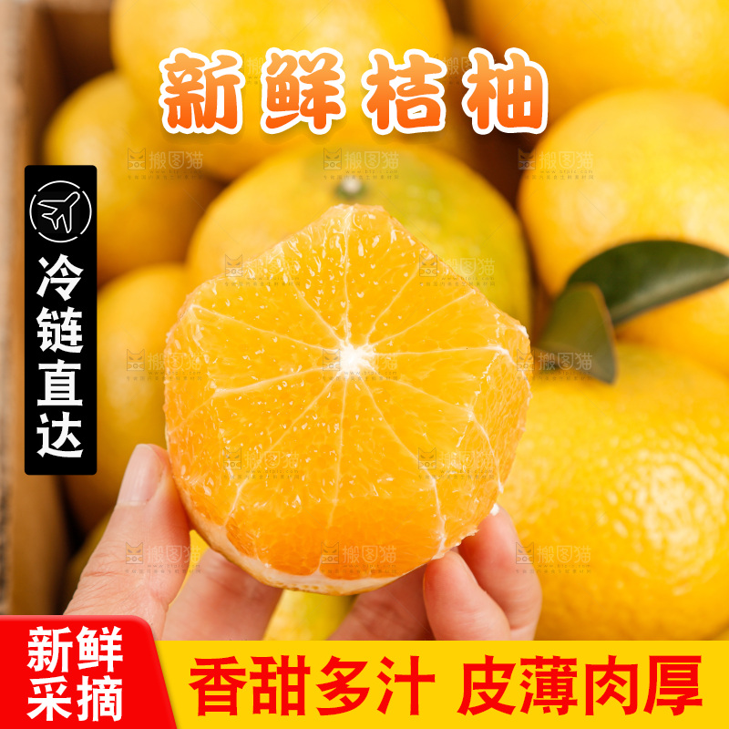 浅底上的桔柚