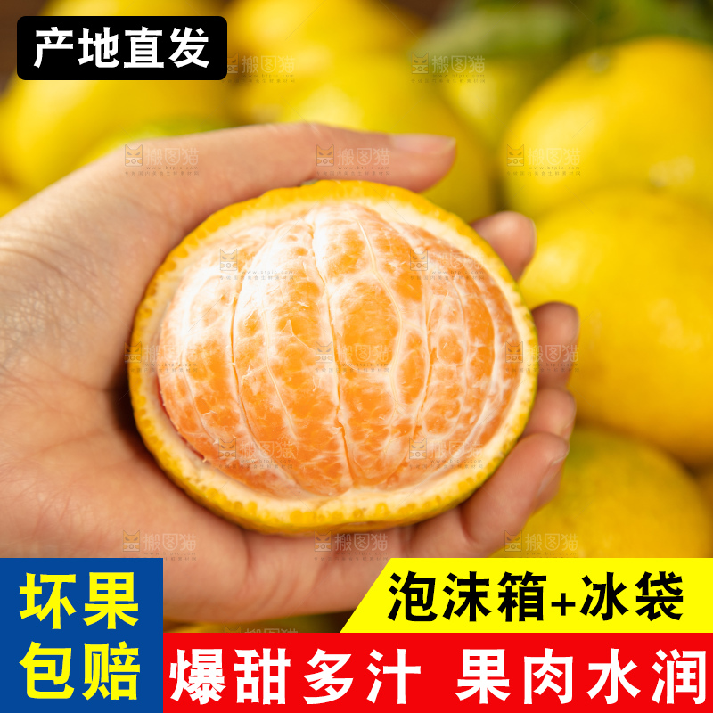 深底上的桔柚