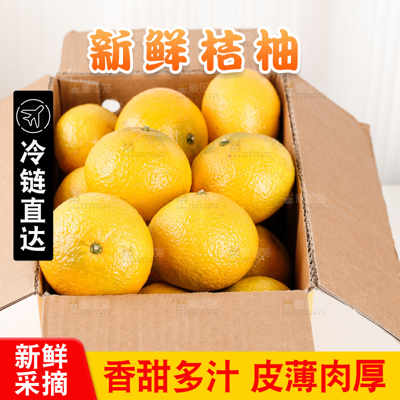 浅底上的桔柚