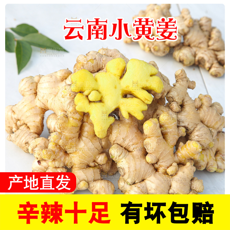 浅底上的小黄姜