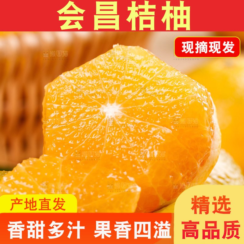 浅底上的桔柚