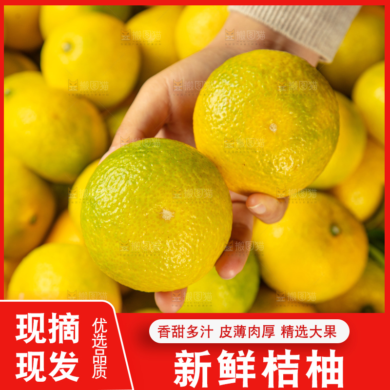 深底上的桔柚