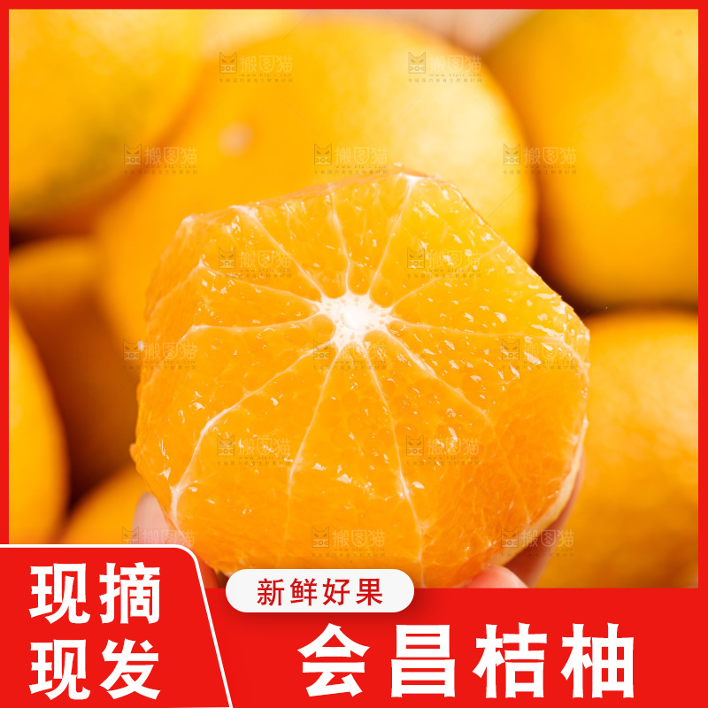 桔柚主图