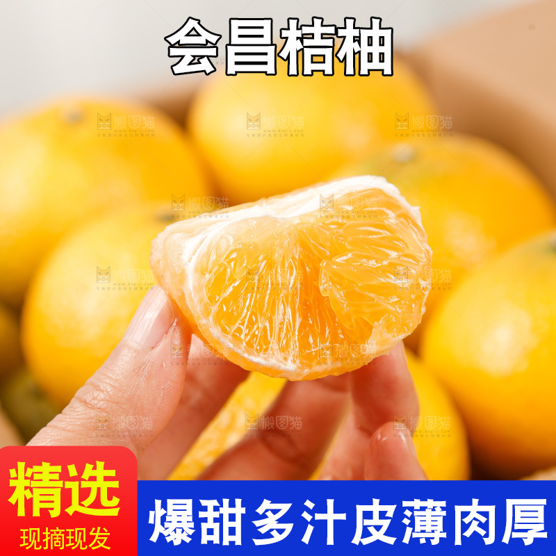 浅底上的桔柚