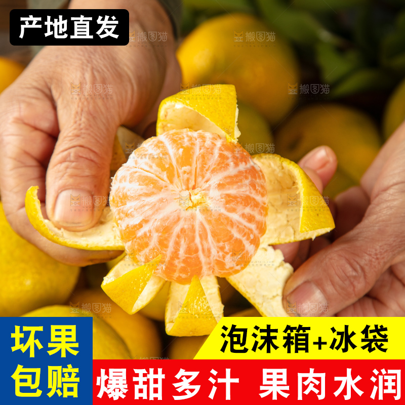 深底上的桔柚
