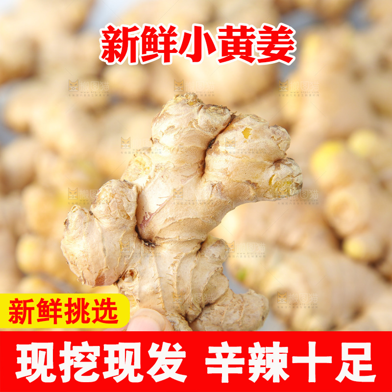 浅底上的小黄姜