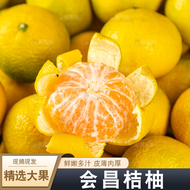 深底上的桔柚