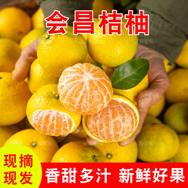 深底上的桔柚
