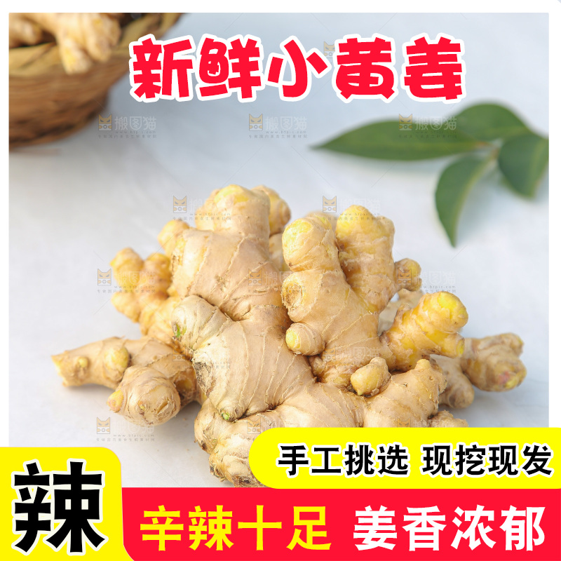 浅底上的小黄姜