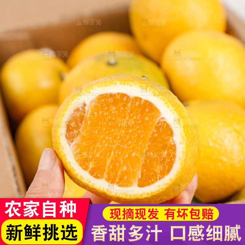 浅底上的桔柚
