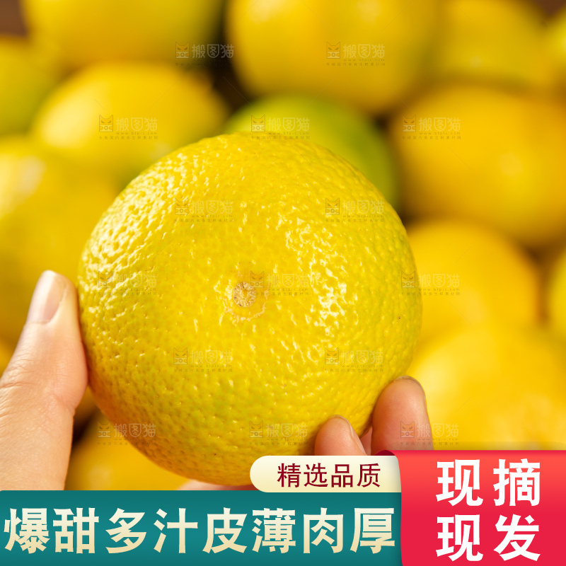 深底上的桔柚
