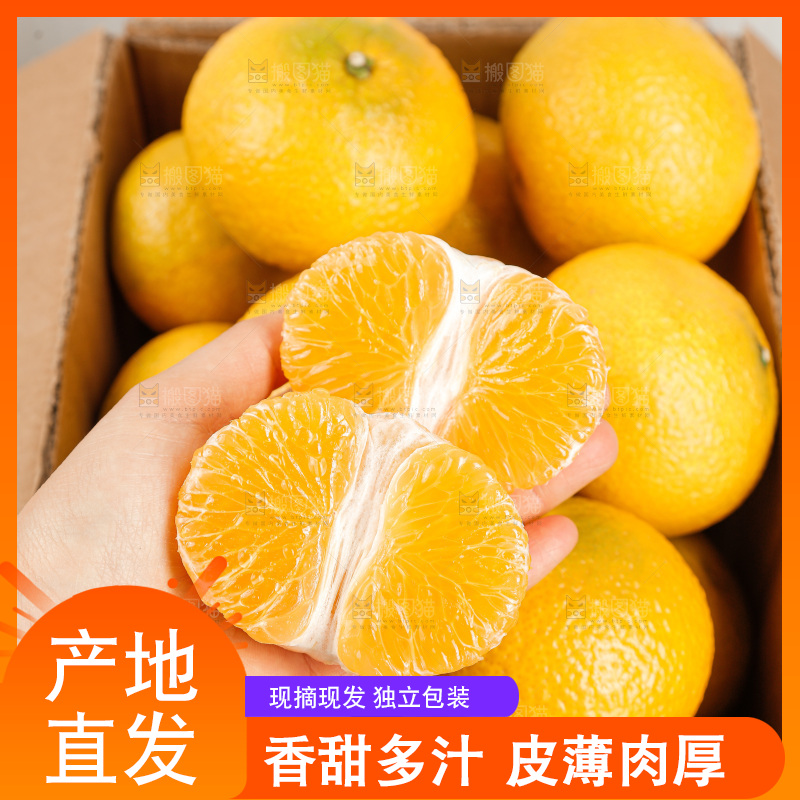 浅底上的桔柚