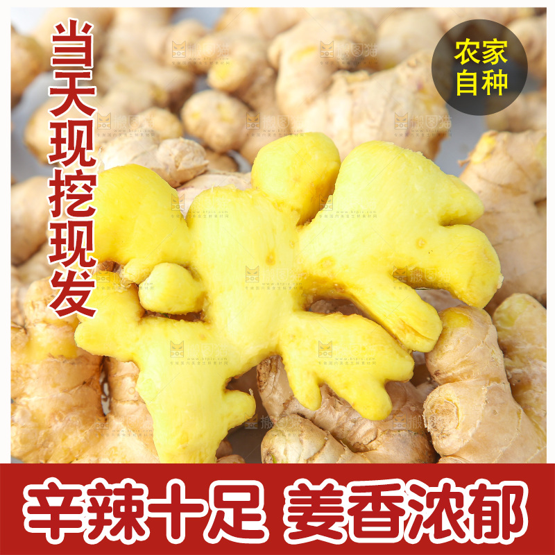 浅底上的小黄姜
