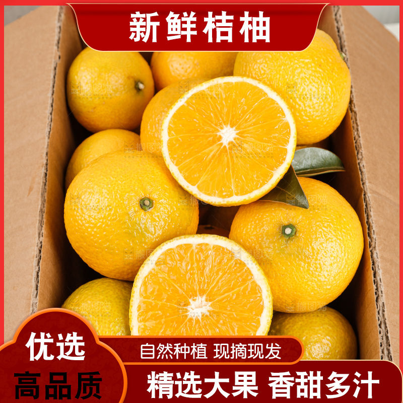 浅底上的桔柚
