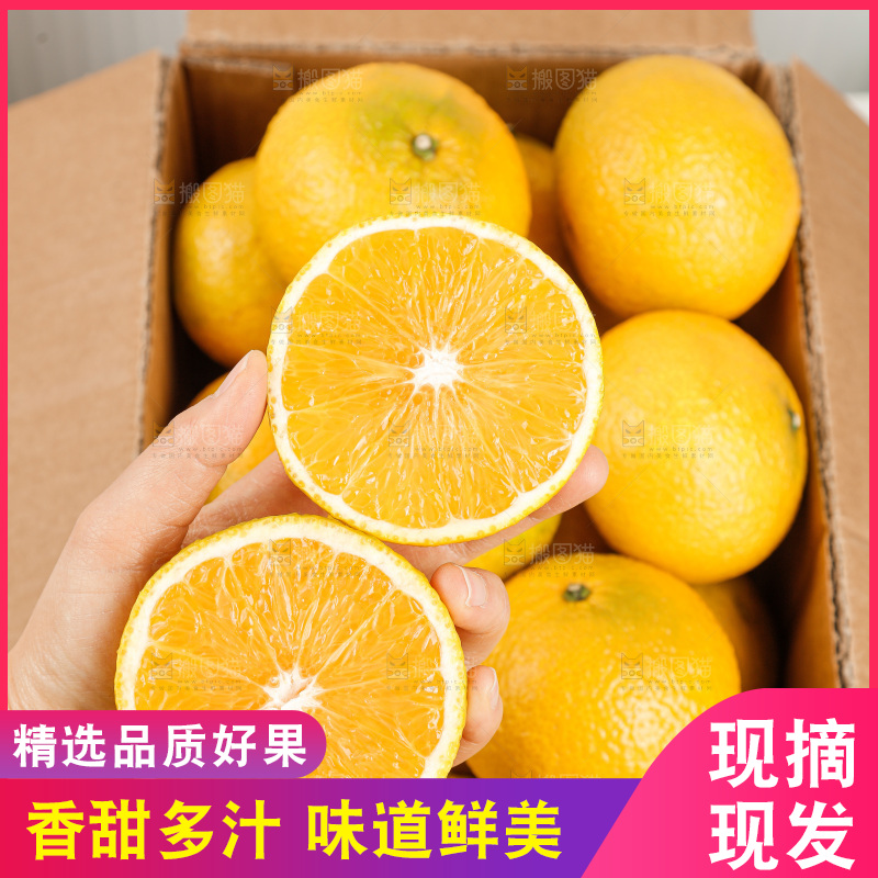 浅底上的桔柚