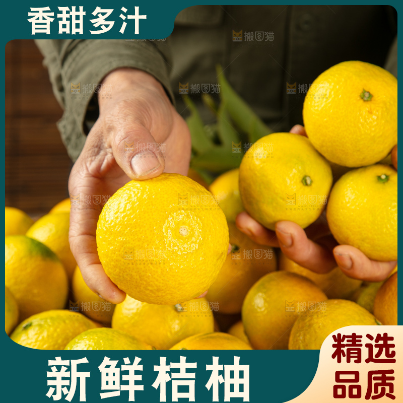 深底上的桔柚