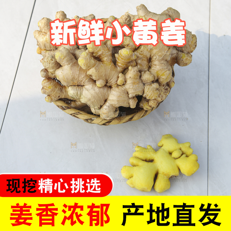 浅底上的小黄姜