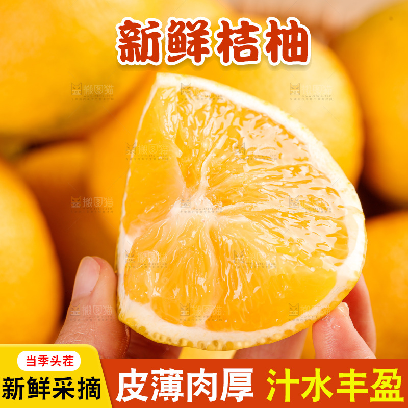 浅底上的桔柚