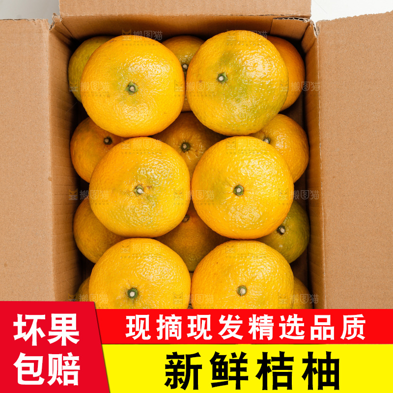 浅底上的桔柚