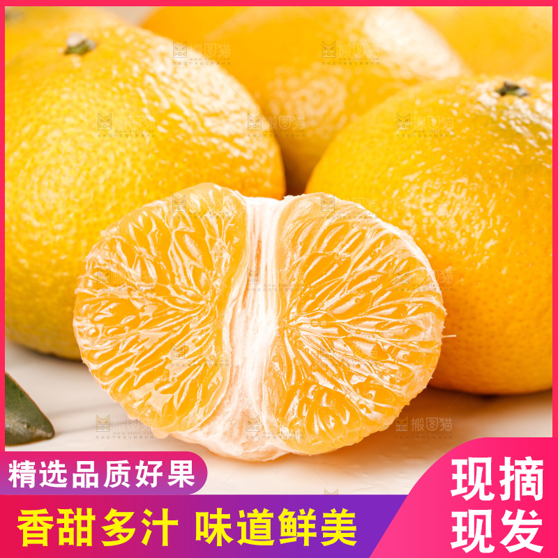 浅底上的桔柚