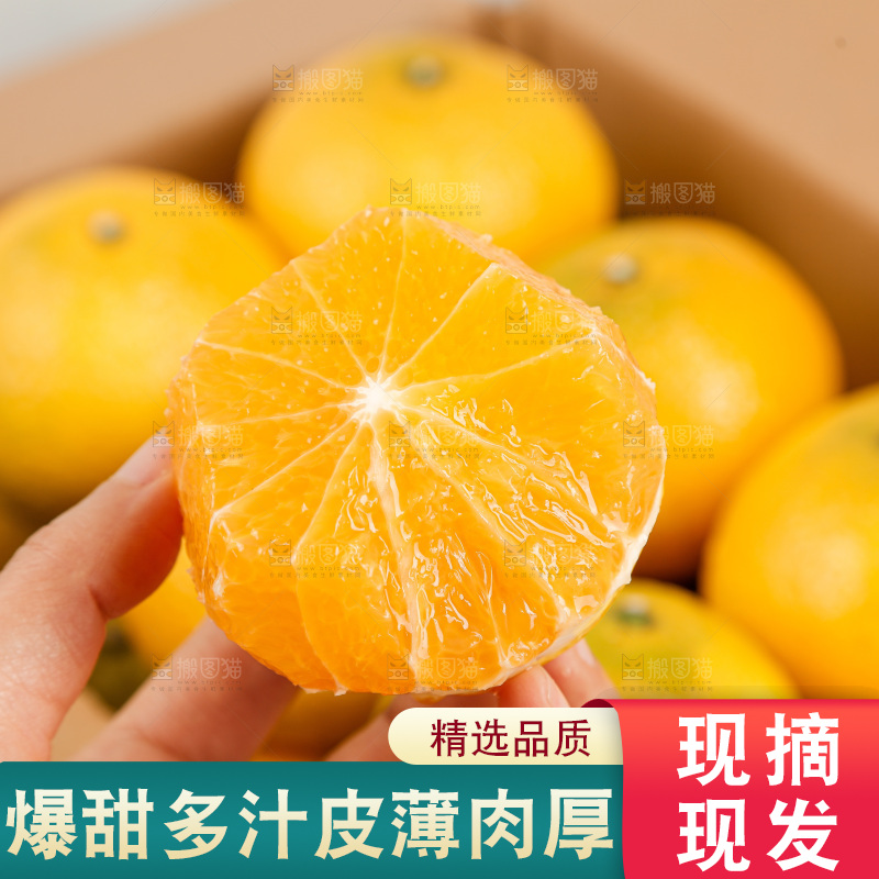 浅底上的桔柚