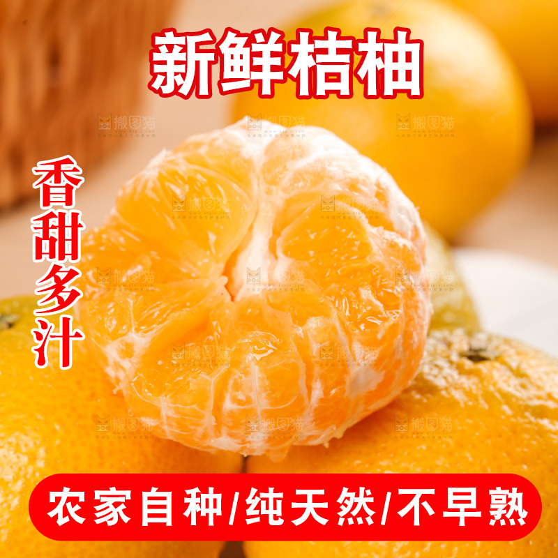 浅底上的桔柚