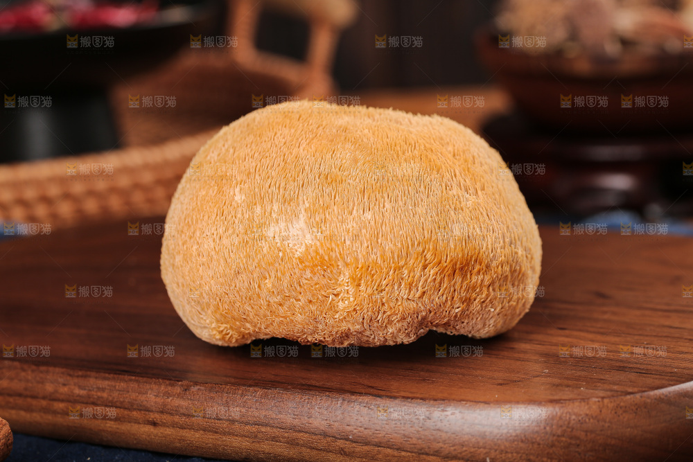 深底上的猴头菇