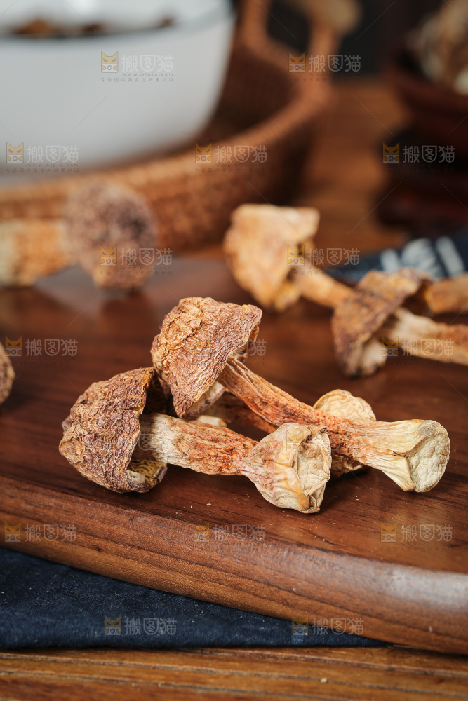 深底上的姬松茸