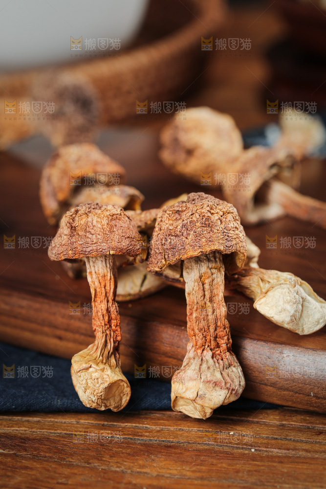 深底上的姬松茸