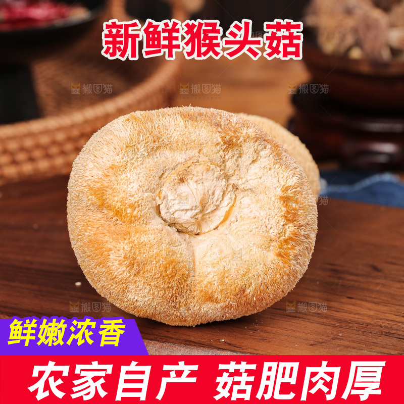 深底上的猴头菇