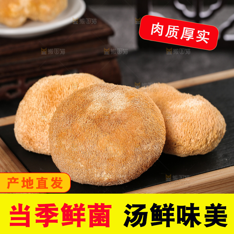 深底上的猴头菇