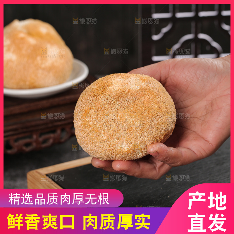 深底上的猴头菇