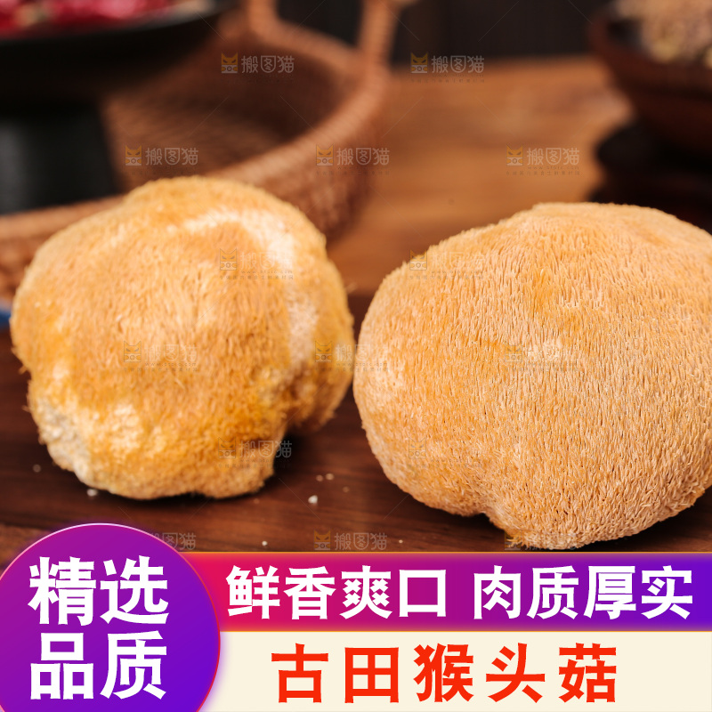 深底上的猴头菇