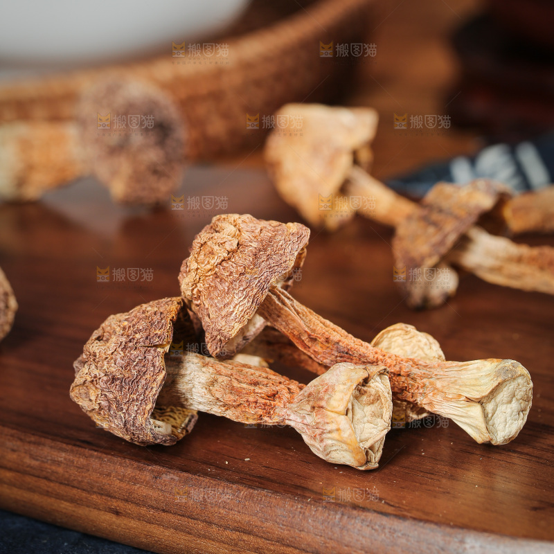 深底上的姬松茸