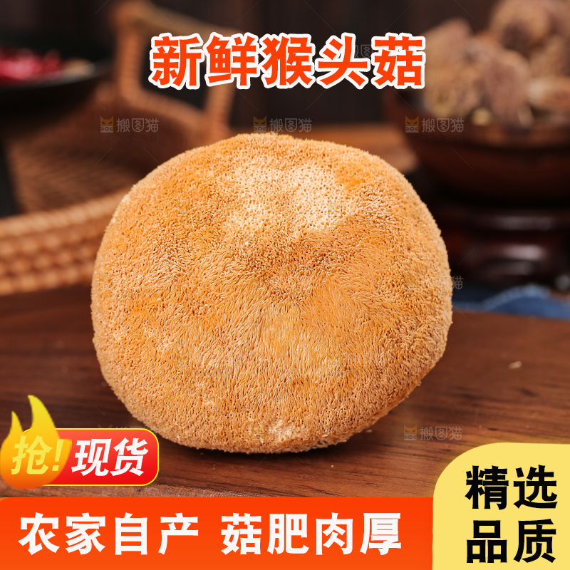 深底上的猴头菇