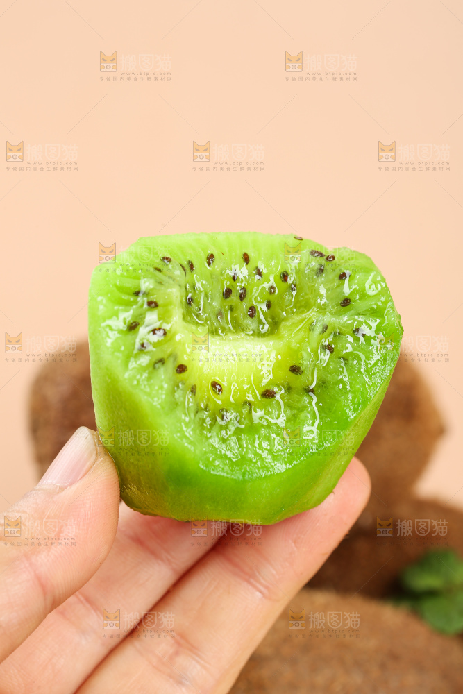 浅底上的修文猕猴桃