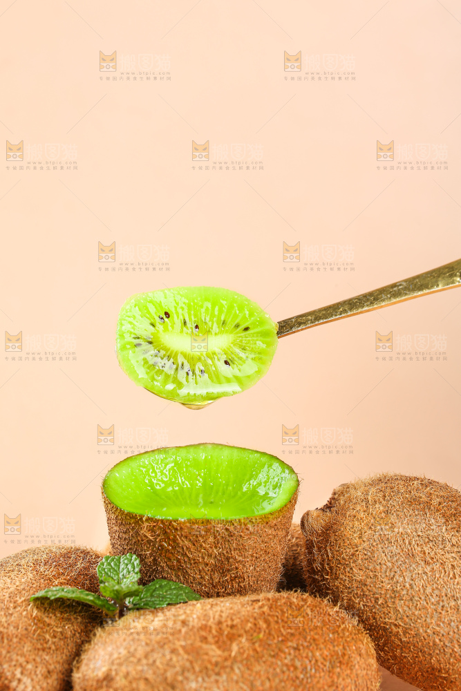 浅底上的修文猕猴桃