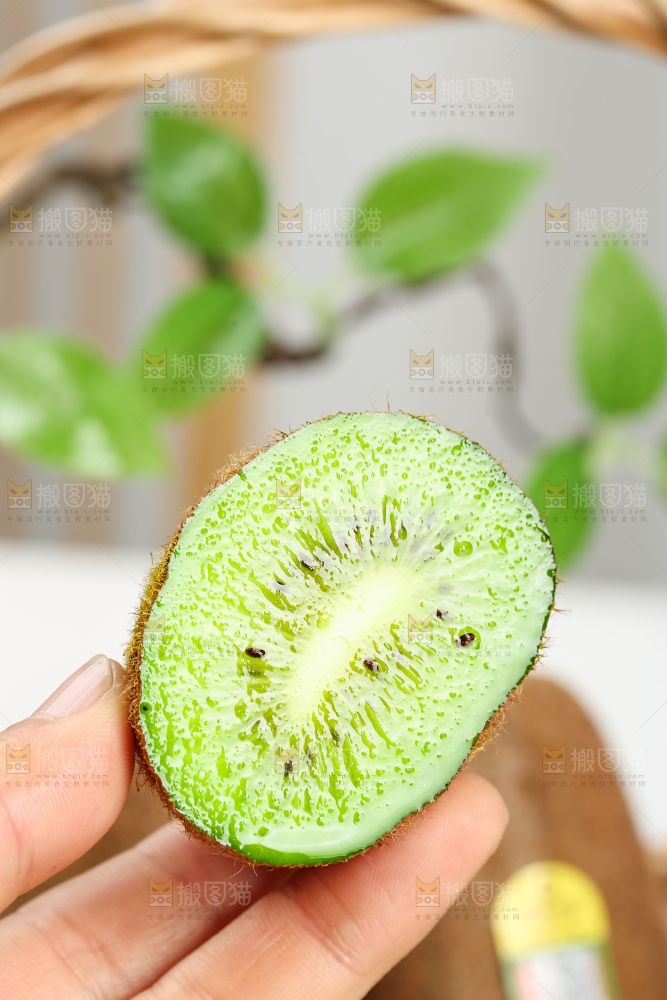 浅底上的修文猕猴桃