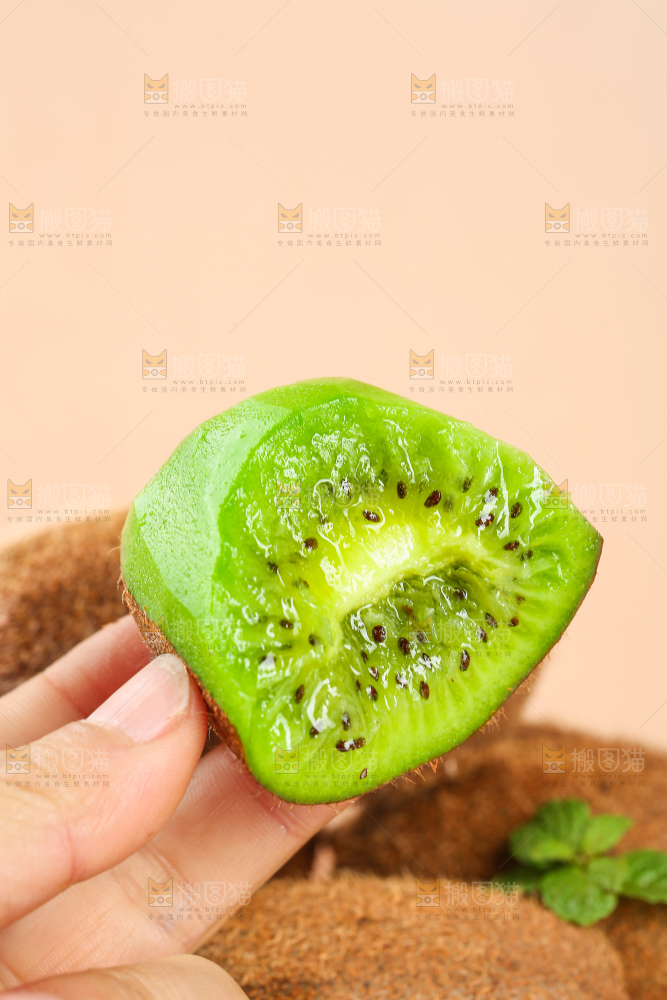 浅底上的修文猕猴桃