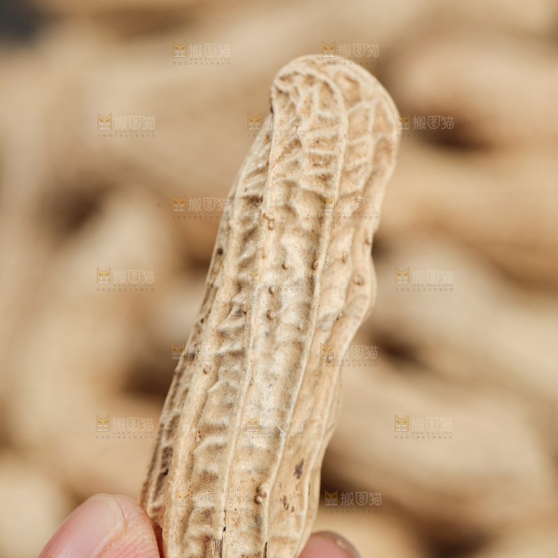 深底上的黑皮花生