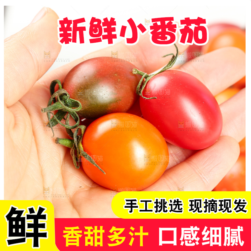 浅底上的小番茄